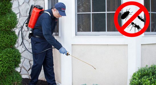 Kars Bit İlaçlama böcek ilaçlama ve haşere kontrolü — ilaclama-tr.com